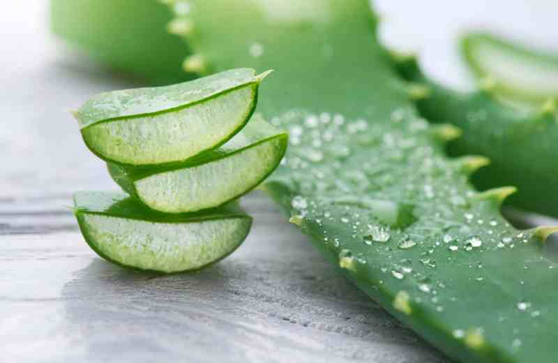 Premium Aloe Vera